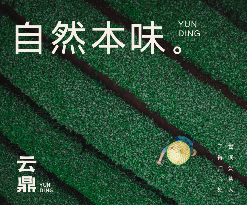 云鼎VI设计（世间爱茶人，了得归心处）